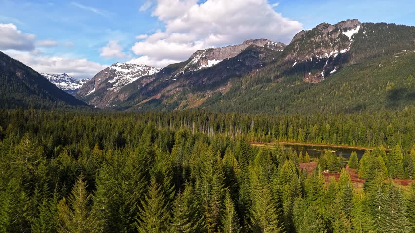 Aerial view of Washington State landscape of Evergreen Forest and Mountains at Gold Creek Pond