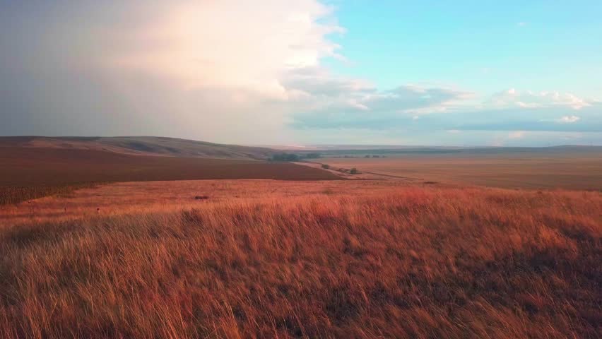 Aerial view of grass and wheat fields under cloudy sky, natures beauty