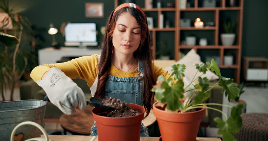 Home, gardening and woman with plant spade, pot and seeds with a gardener with soil for growth. Calm, leaves and eco friendly in a living room on a sofa with planting tools and care in house