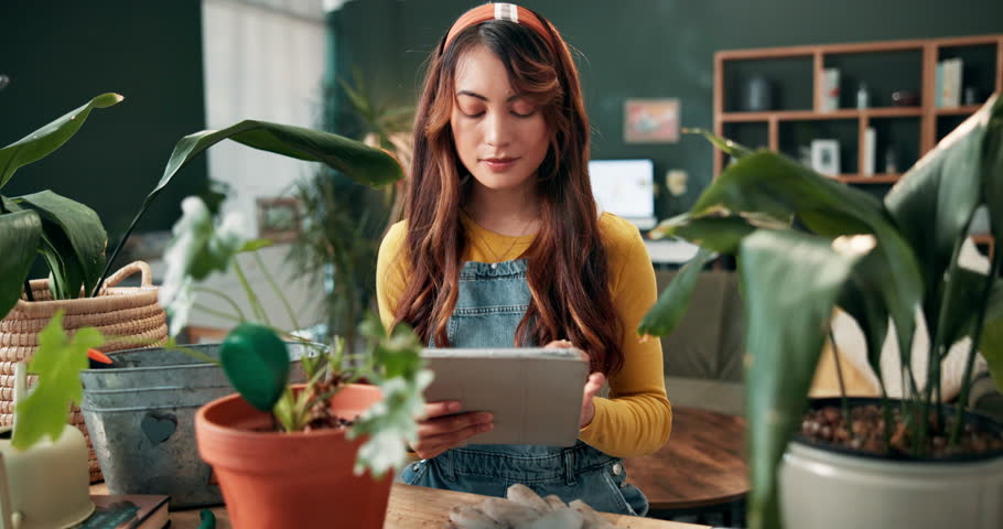 Woman, plants and care in home with tablet, online search and growth with sustainable botany app for eco friendly info. Houseplant, leaves and organic nature decor, horticulture and happy gardener