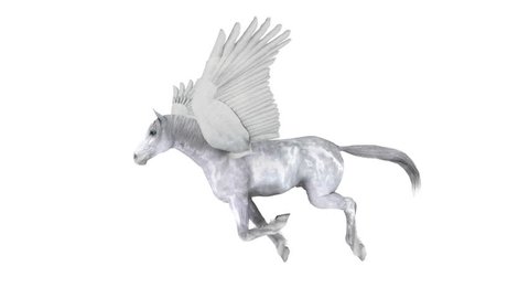 Horses Summer Stock Photo Shutterstock