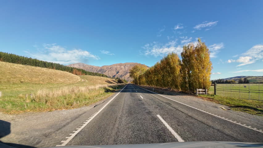 Road trip of car driving on the road through row of yellow tree in autumn season at South Island of New Zealand