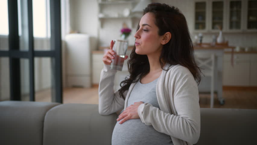 Healthy happy pregnant woman girl female mother at home couch sofa stroking pregnancy belly anticipation baby medicine insurance drinking water balance holding glass drink refresh health diet vitamin