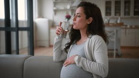 Healthy happy pregnant woman girl female mother at home couch sofa stroking pregnancy belly anticipation baby medicine insurance drinking water balance holding glass drink refresh health diet vitamin - Powered by Shutterstock - Get 15% off with code: PIKWIZARD15
