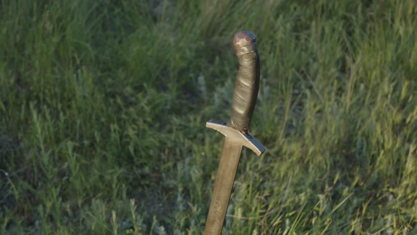 A sword with a handle wrapped in leather is stuck in the ground at the edge of the forest at sunset. Close-up