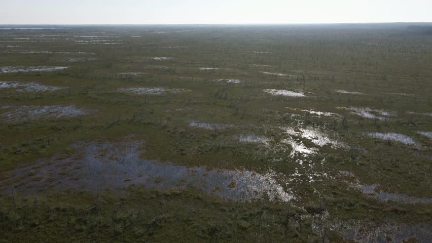 Aerial view from a drone flying forward over a vast northern tundra marsh as the sun reflects off the calm water.  This type of marsh is known as a string bog.  The green colors are muted.
