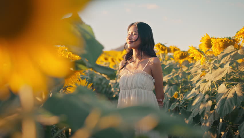 Young carefree asian woman exhaling fresh air in field with sunflowers in sunset, enjoying nature, happy female closed her eyes dream.