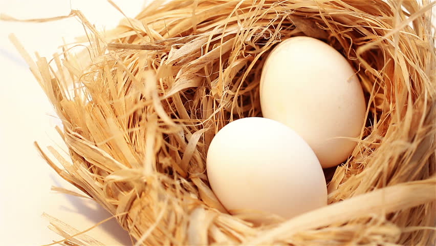 eggs in a nest on white background