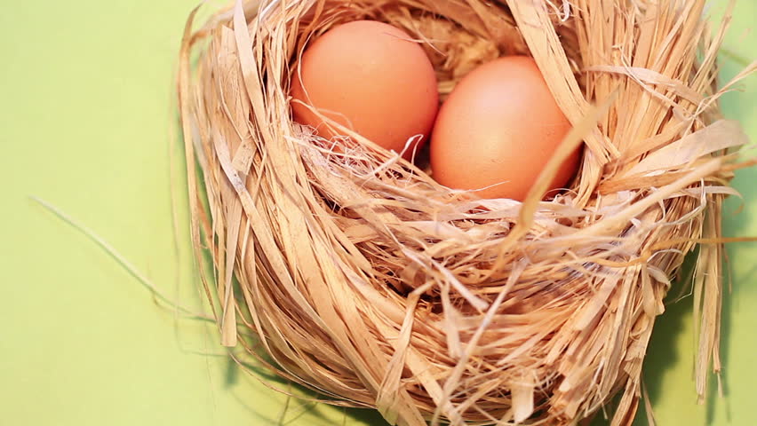 eggs in a nest on a green background