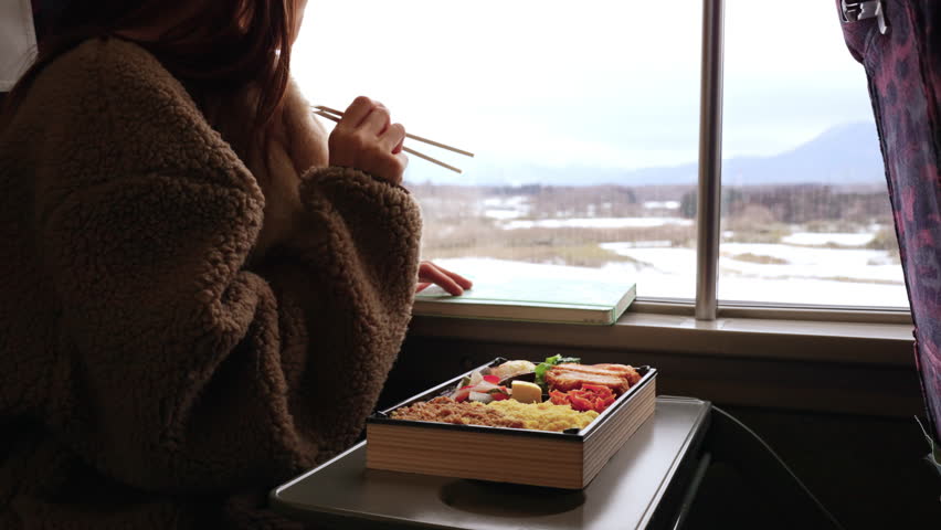 4K Asian woman eating traditional Japanese food pork cutlet Tonkatsu with rice in lunch box bento during travel on train. Attractive girl travel on railroad transportation on winter holiday vacation.