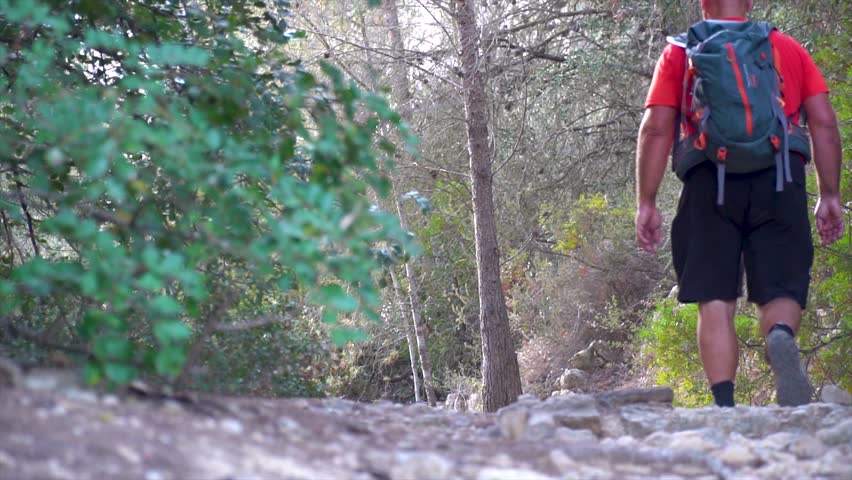 Slow motion. one man hiking in the forest, in the morning at summer.	