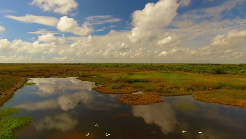 Aerial: Drone Forward Tilt Down Shot Of White Birds Flying Over Pond Under Cloudy Sky - Bayou Vista, Texas