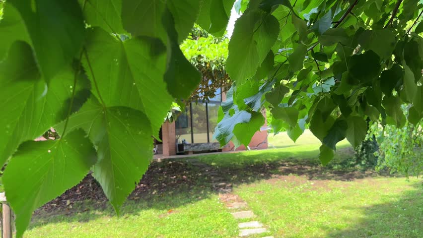 Cozy house, dream house. House for rest. A beautiful house with a yard