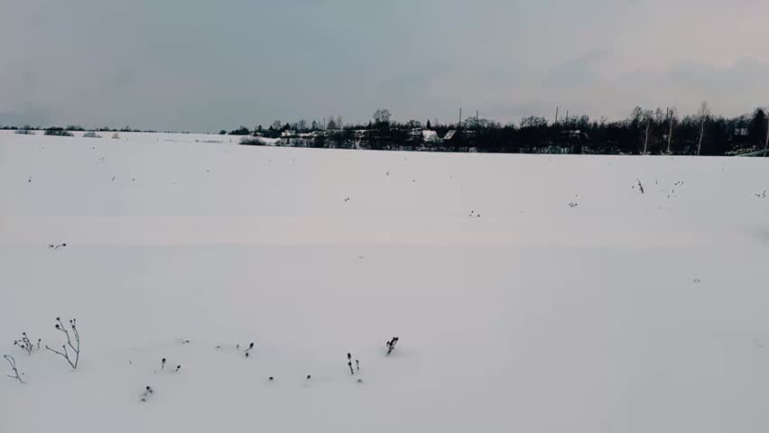 A snowy field with a few trees in the background. The sky is cloudy and the snow is white