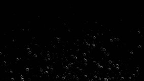 Bubble Surges on Black Background, 4k, loop - Powered by Shutterstock - Get 15% off with code: PIKWIZARD15