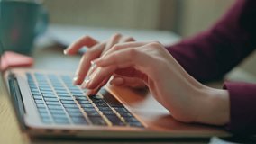 Student hands writing notebook closeup. Woman typing keyboard doing research online at home office. Unknown business manager draw making notes at desk. Design freelancer working surfing computer. - Powered by Shutterstock - Get 15% off with code: PIKWIZARD15