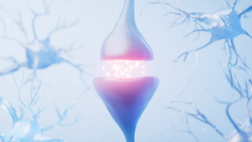 Biology nerve cell with biomedicine concept, 3d rendering. Motion graphic.