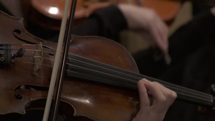 violin players close up