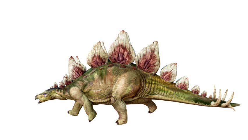 Artistic 3D rendering of a Stegosaurus with Colorful Plates on Isolated Background Alpha channel.