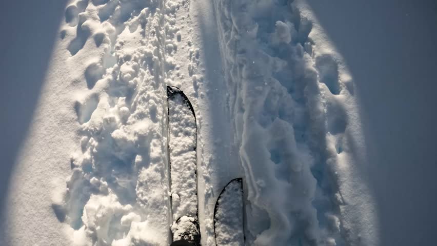 POV shot on a sunny day, revealing a skinning path, then tilting up to sunlit snow-covered trees.