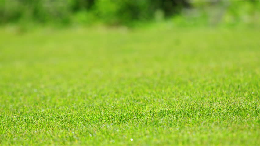 Automatic watering nozzle appears from under the grass and waters the lawn