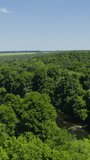 Amazing nature in summer. Flight over the green forest. Beautiful blue river inside the woodland. Natural scenery. Aerial view. Vertical video