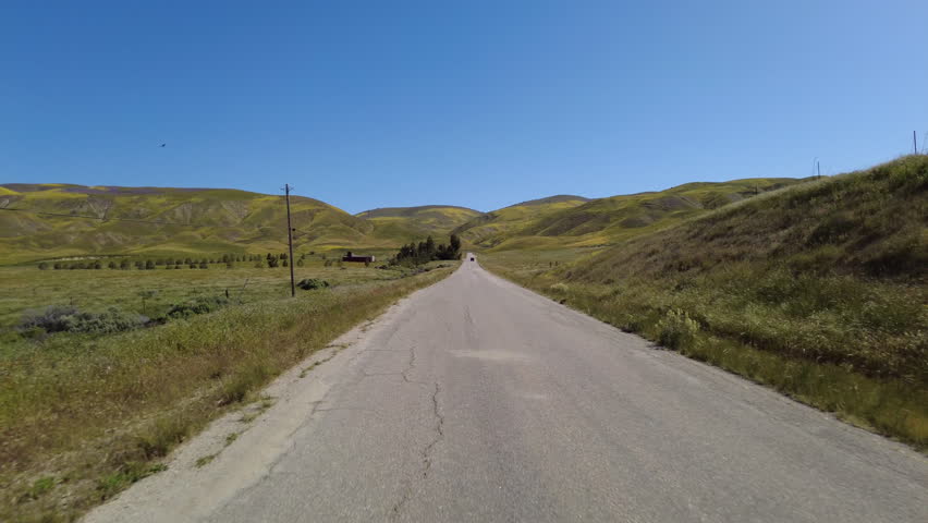 Carrizo Plain National Monument 7 Mile Road Southbound 03 Rear View Driving Plates of Wildflower Super Bloom in California USA
