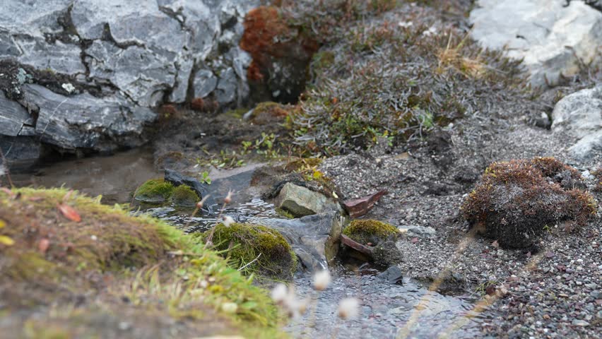 Glacial Water Stream Flowing in Landscape of Greenland, Slow Motion