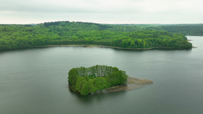 An aerial view of a small island covered with dense green trees in the middle of a lake, surrounded by lush green forest.
