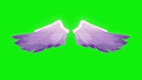 Real angel wings on green screen, loop, fantasy fairy wings with a green screen.4k video 
