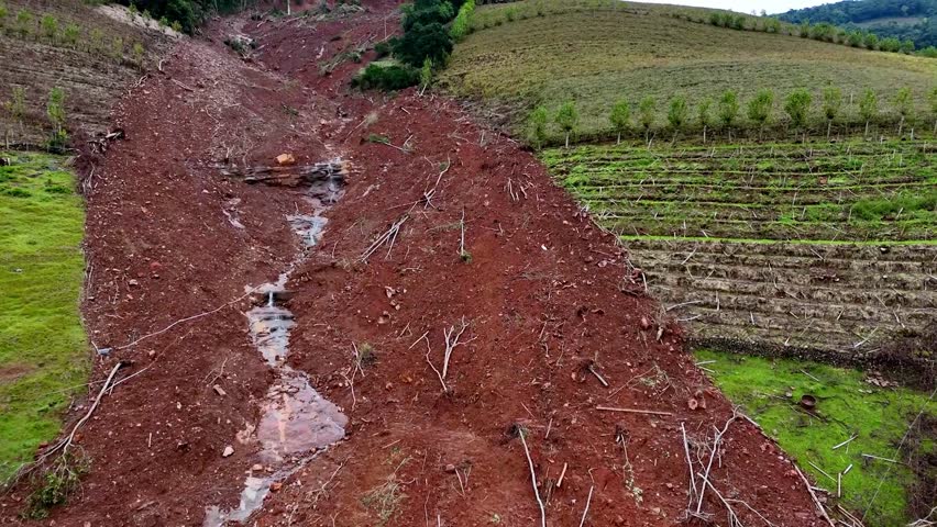 Trees uprooted, detrimental environmental impact, flooding aftermath