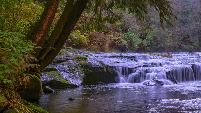 Time lapse stream Oregon, United States