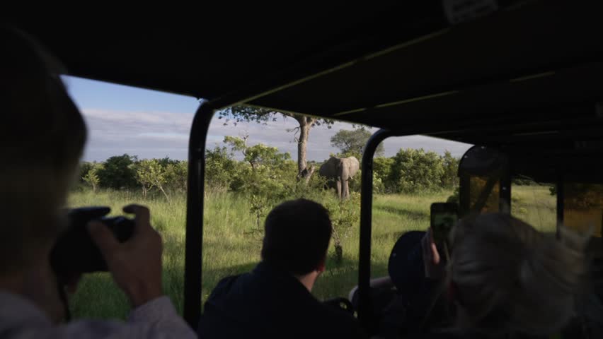 Hand held camera view of people in safari vehicle and elephant in Kruger National Park, Mpumalanga, South Africa, Africa