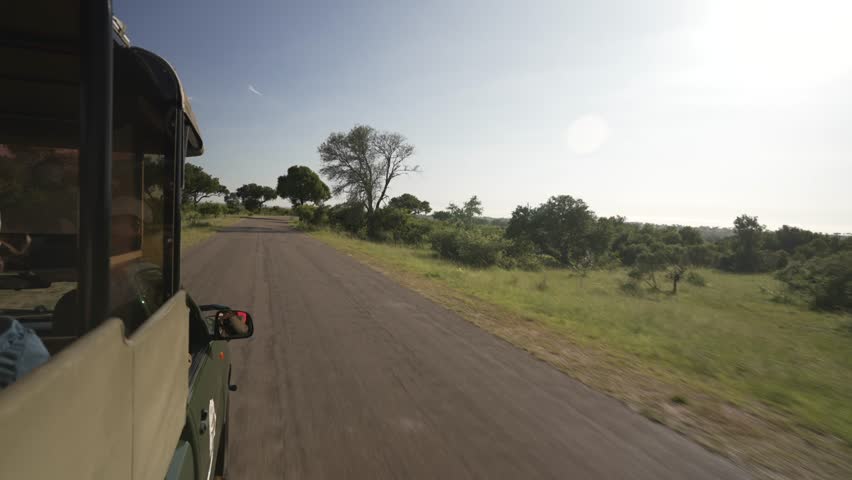 Hand held camera view of people in safari vehicle travelling through Kruger National Park, Mpumalanga, South Africa, Africa