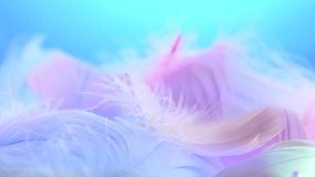 Beautiful abstract colorful feathers on blue background, soft pastel colors feather texture on white, close up. Colourful pastel neon bird feathers. Softness concept. Slow motion - Powered by Shutterstock - Get 15% off with code: PIKWIZARD15