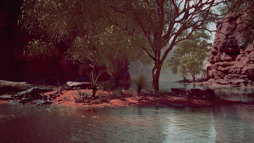 Rio Grande entering the Santa Elena canyon