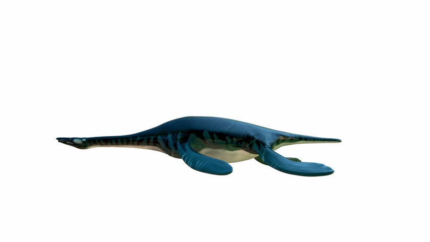 Realistic 3D rendering of an Ichthyosaur Swimming on White Background. Alpha channel.