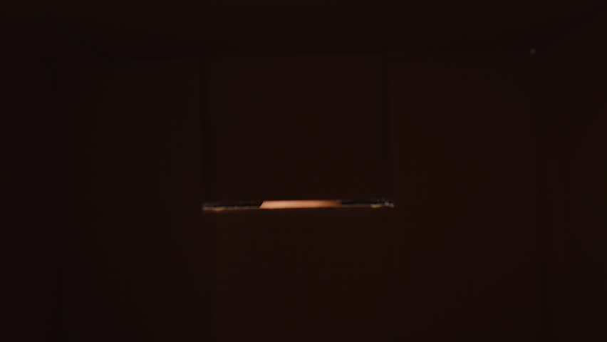 View from inside the box. Happy Indian woman unpacking delivery parcel at home. Smiling satisfied girl shopper, online shop customer opens cardboard box receiving purchase gift by fast postal shipping