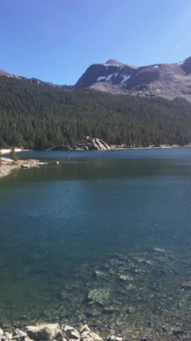 Yosemite National Park, vertical video of a serene lake in Yosemite National Park surrounded by mountains under a clear blue sky on a sunny day outdoor in nature at daytime.  