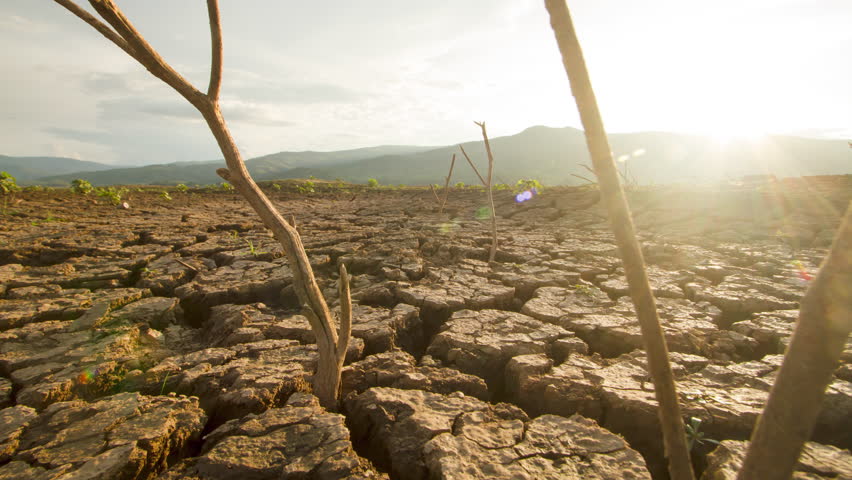 Apocalyptic Timelapse of Cracked Earth Forming During a Severe Drought at Sunset a Global Warming Concept.