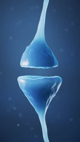 Synapse of neuron cell, biology concept, 3d rendering. Digital drawing.