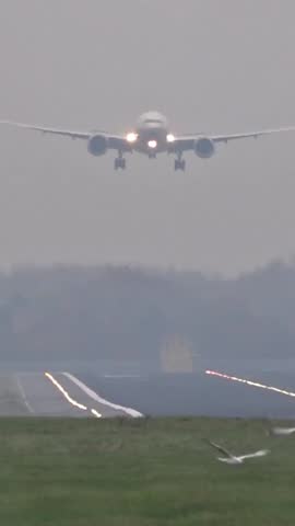 big passenger jet airplane aircraft landing touching down with birds flying in front dangerous