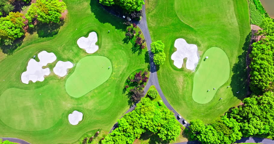 Aerial view of green grass and trees on a golf fields. green golf course in summer. top view.