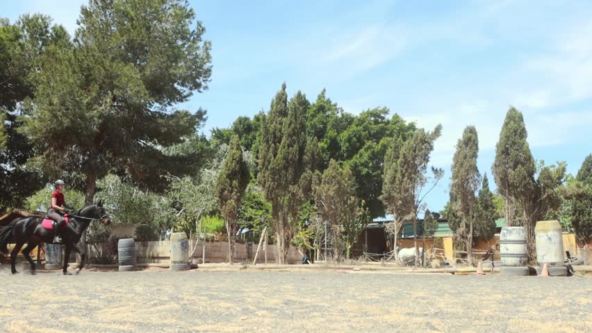 Close up horse hooves step ground. Dust and smoke swirls. Slow motion. Equestian sport and active lifestyle. Animals concept.