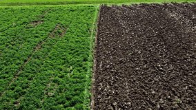 Stunning drone footage of a tractor driver plowing in a green tractor with a blue turner.With hard work it turns the green work surface into brown. Video was taken from the air on a sunny spring day.