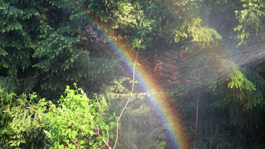 the gardener waters the garden and a rainbow appears