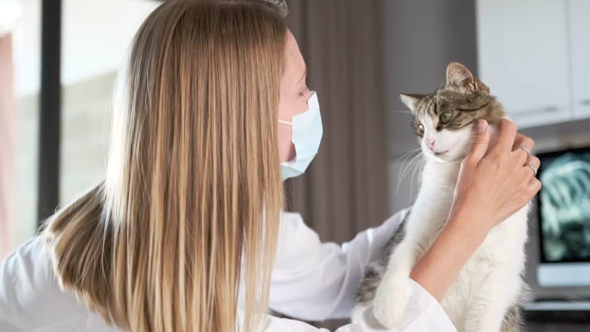 Appointment at veterinarian