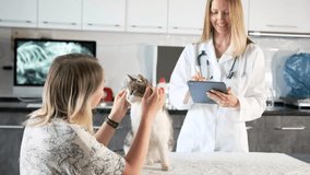 Consultation of veterinarian for pet owner sitting next to medical table with cat undergoing preventive examination and vaccination in a modern veterinary clinic. - Powered by Shutterstock - Get 15% off with code: PIKWIZARD15
