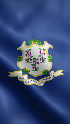 Connecticut flag waving animation, vertical video, seamless loop animated, official colors (portrait).