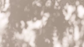 Transparent soft light and shadows from branches, plant, foliage and leaves. Morning sunlight and tree shadows blowing by wind reflecting on wall. Product, advertising. Summer concept. 4k - Powered by Shutterstock - Get 15% off with code: PIKWIZARD15